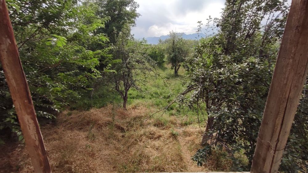 Yer sotiladi 45 sotix