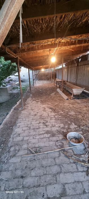 Uy turar joy Buxoro viloyat vobkent tumanida 12 sotiq