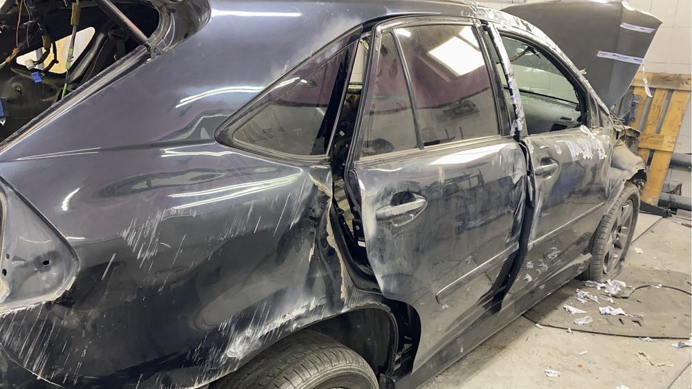 Костоправ маляр