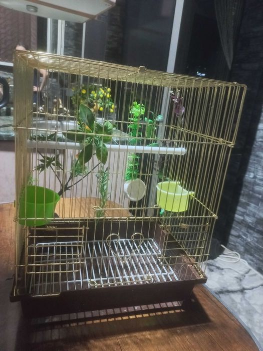 Клетка для попугаев
