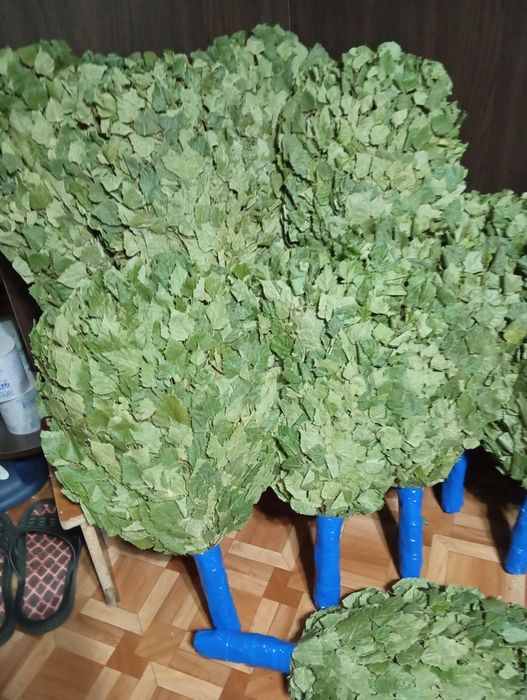 Банные веники(берёза)