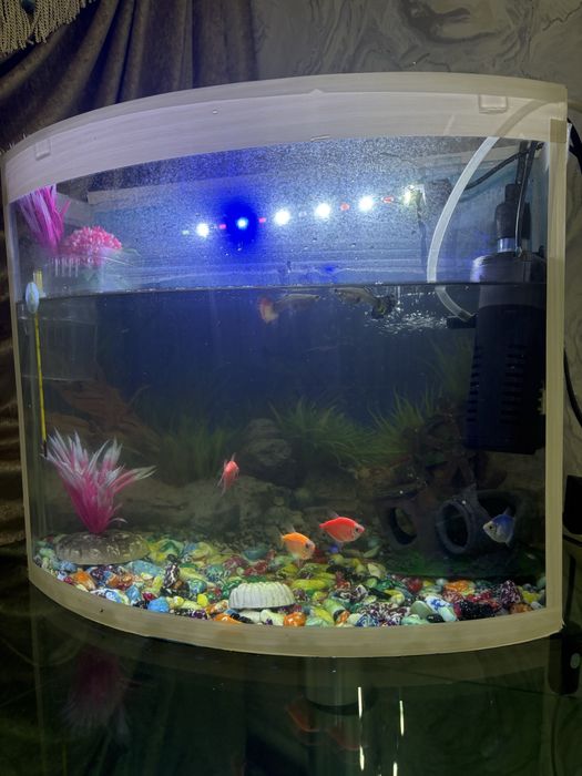 Akvarium sotiladi