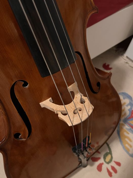 Violoncel 4/4.