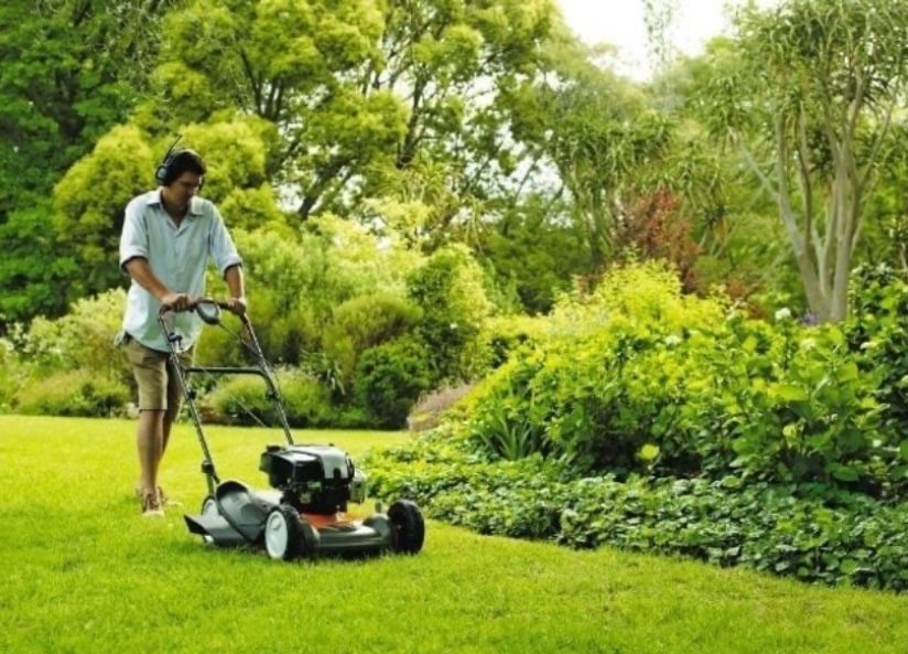 Шоп ору Газон ору