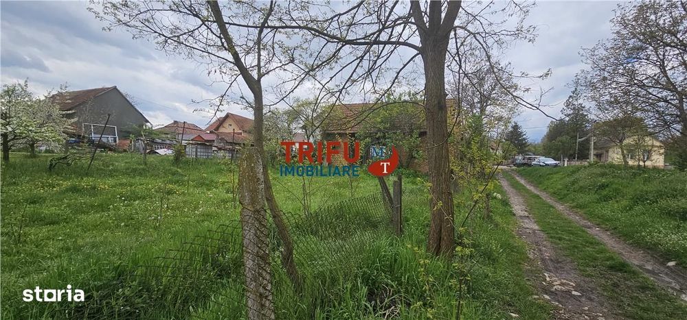 Casă veche + teren 3100 mp | Galda de Jos | Acces râu