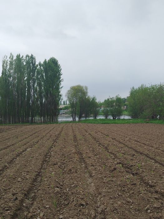 Yer sotiladi SUV bóyida 5000$