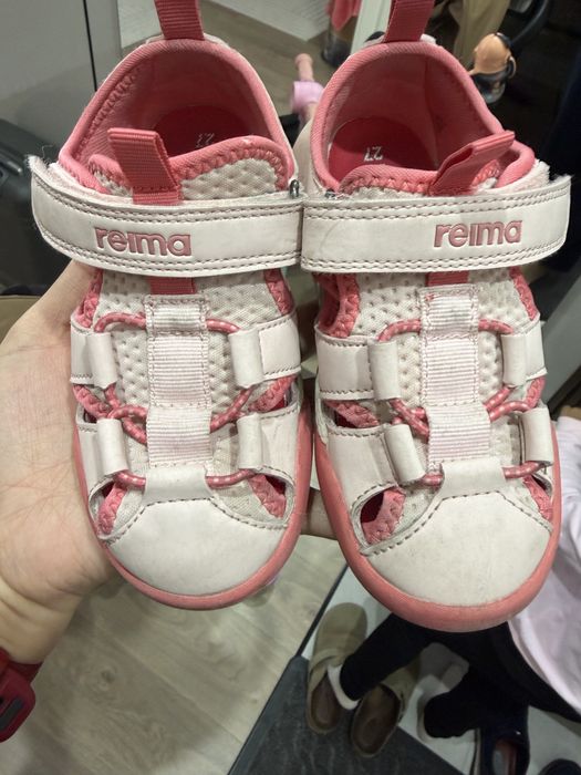 Санделии  reima