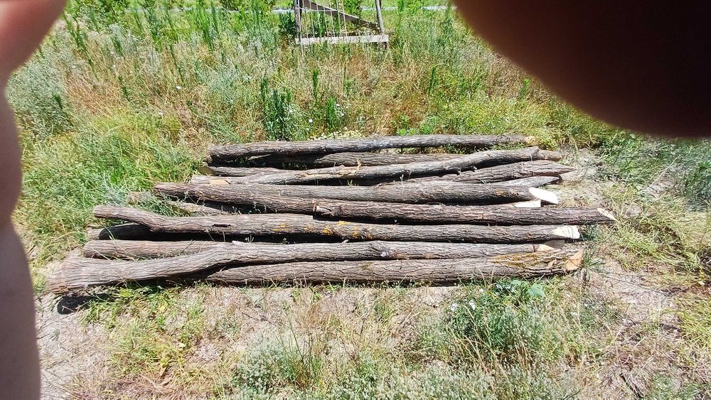 колове акация, 3м., с кората, подострени с 2 ряза
