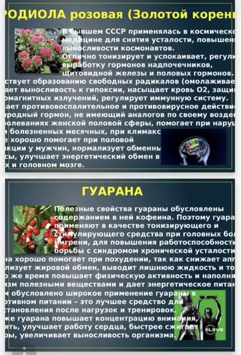 Елев8-Elev8 клеточное питание