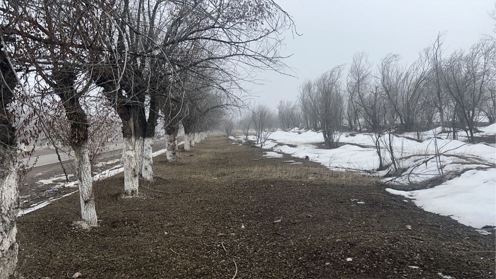 Коммерциялық 2 жер сатылымда!!!