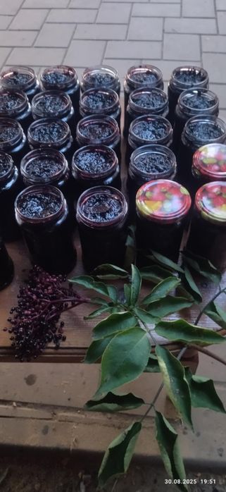 Dulceață din fructe de soc