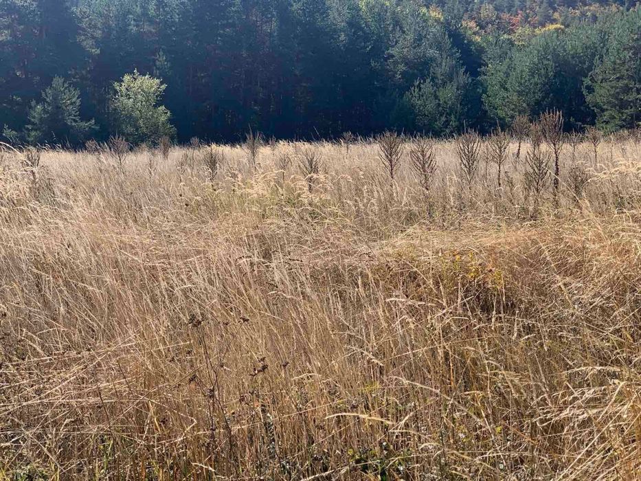 Продава се Парцел в Пловдив, Въстанически - 1324 кв.м за 17 €/кв.м - Снимка #3