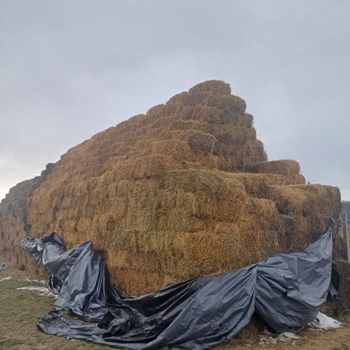 Vând baloti lucernă dreptunghiulari