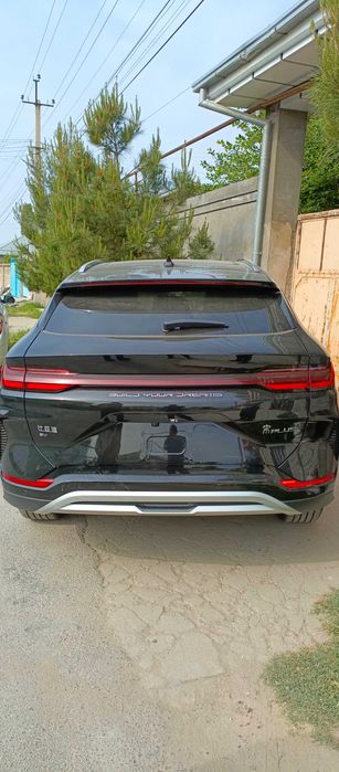 Byd champion срочно сотилади