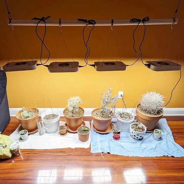 Lampă LED pentru creșterea plantelor 130 W ,reglabilă, 12000 Lumeni