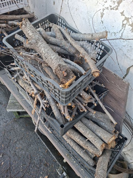 Дрова для шашлыка ВИШНЯ