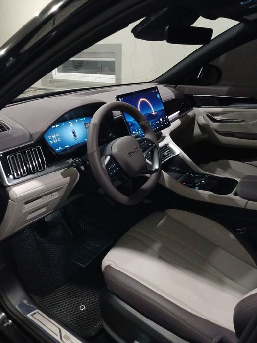 Byd chempion smart