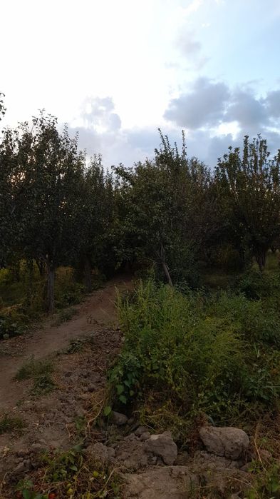 Фазенда сатылады