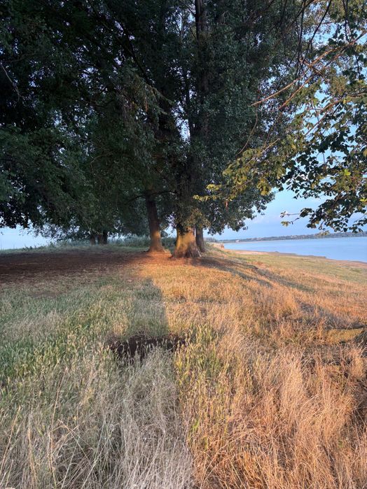 Teren la Dunăre, teren la malul Dunari