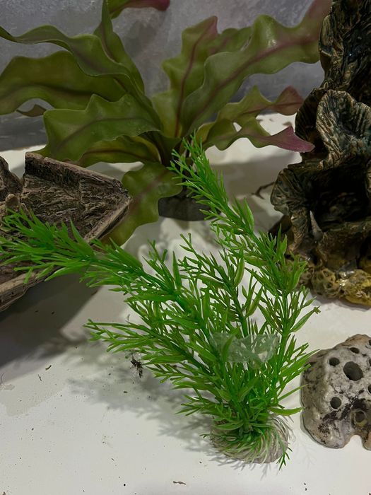 Декор для аквариума,камни