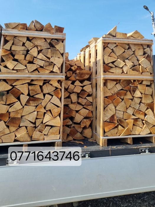 Lemne de foc esență tare fag tăiate si sparte paletizate