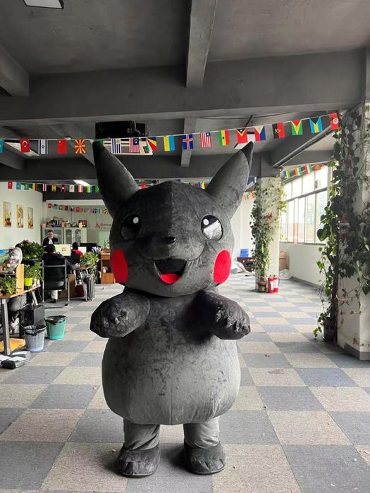 Pikachular 2 xil rangda  tayyor biznes