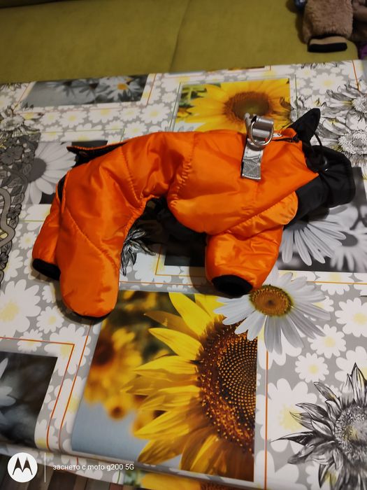 Кучешки дрехи за зимата