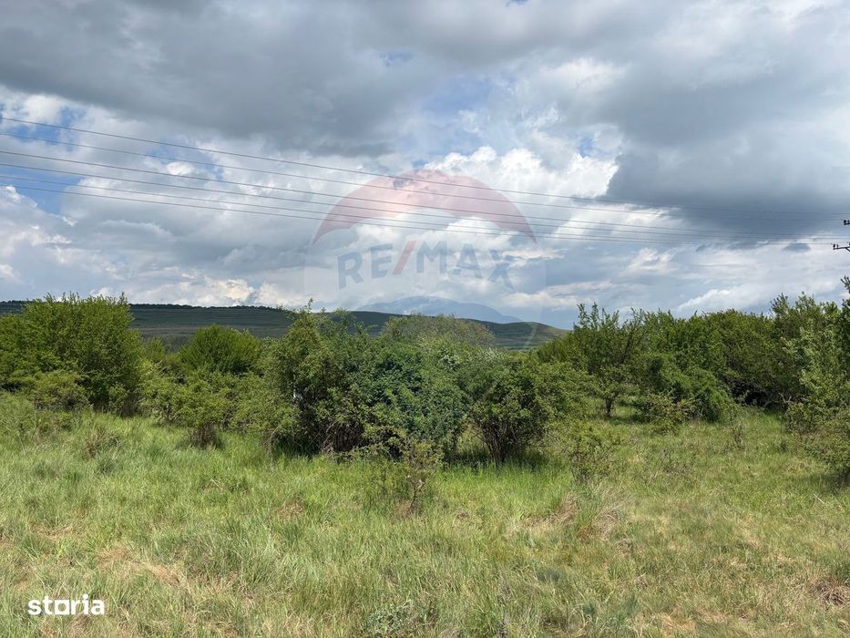 Teren de vanzare 13783mp, front la DN, parcela unica zona de vest