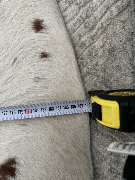 Blana  naturala de bovina pentru perete sau pardoseala