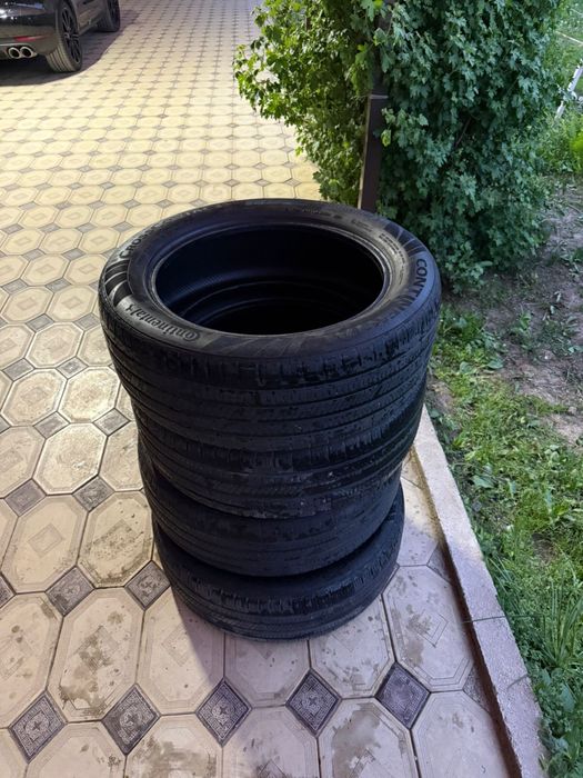 Continental летняя резина