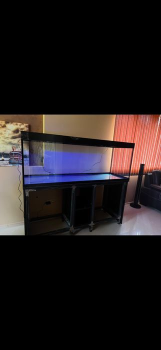 Аквариум Crystal clear vision