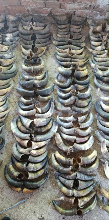 Рога за маски най-новите