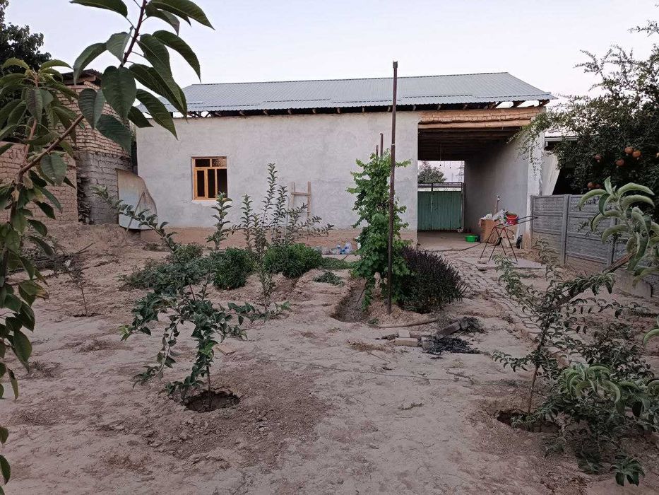 Qibray tumani, Chinobod MFY da uy(5 sotox) sotiladi.