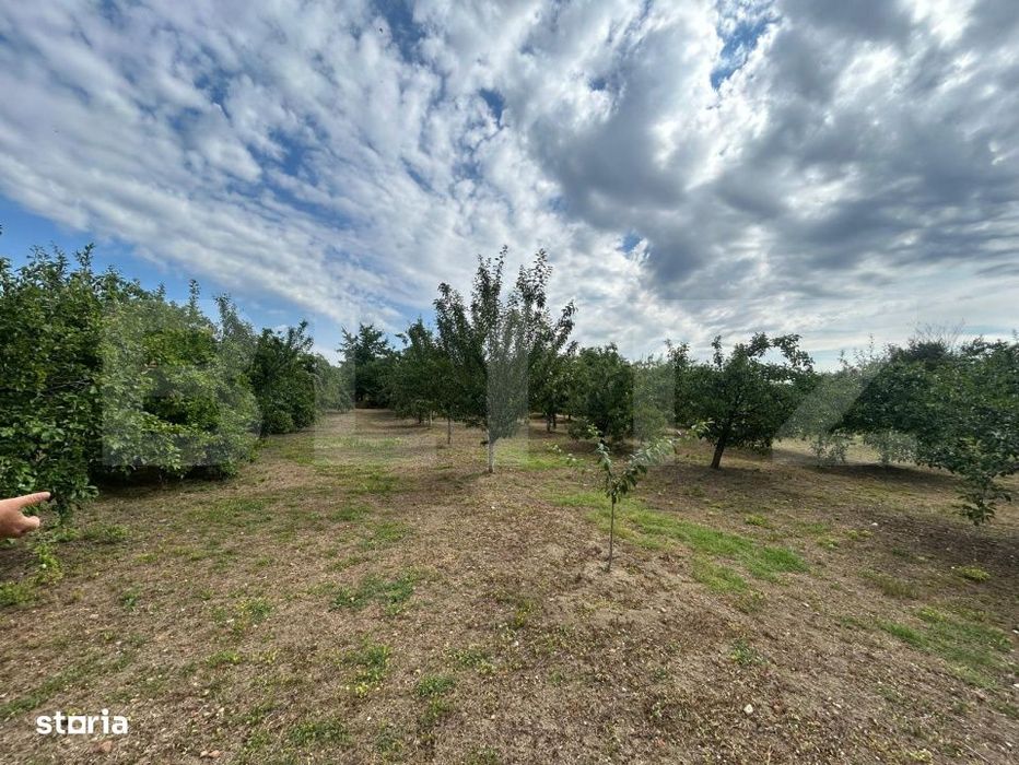 Teren | Crangurile De Jos | 6796 Mp | Intravilan |