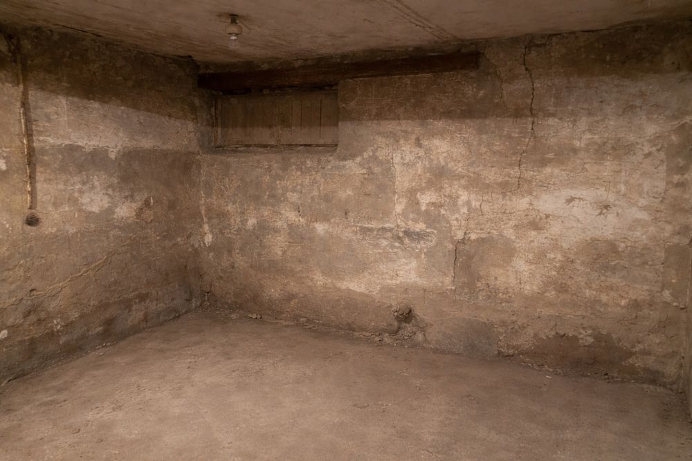 Сдам подвальное  помещение под производство