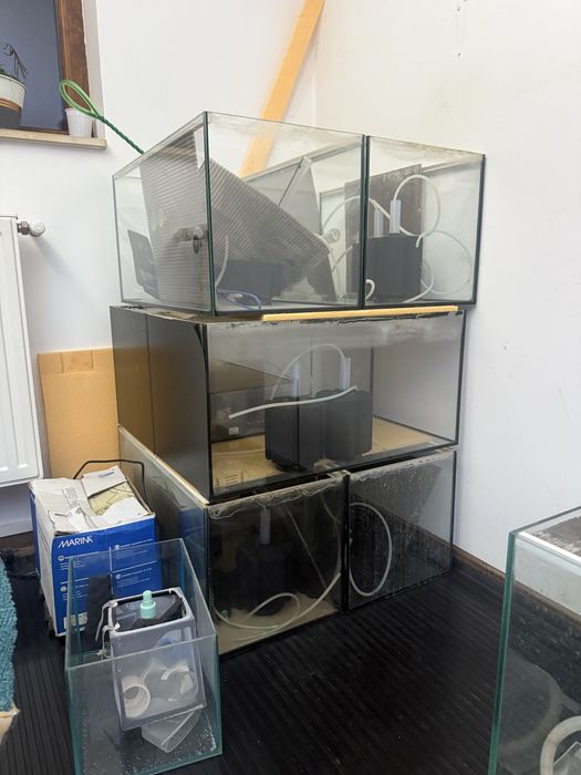 Vand 6 Acvarii de 54 litri aproape noi, compresor aer, bureti