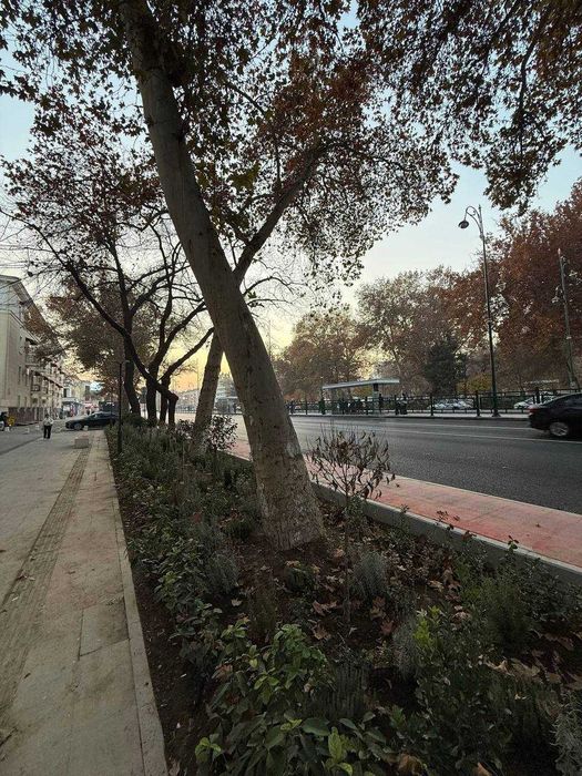 Нежилое помещение 1 линия Шото Руставели