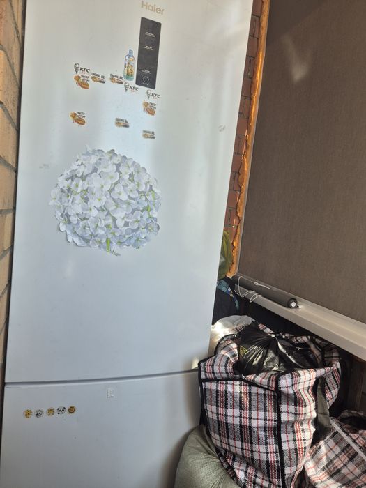 Холодильник Haier