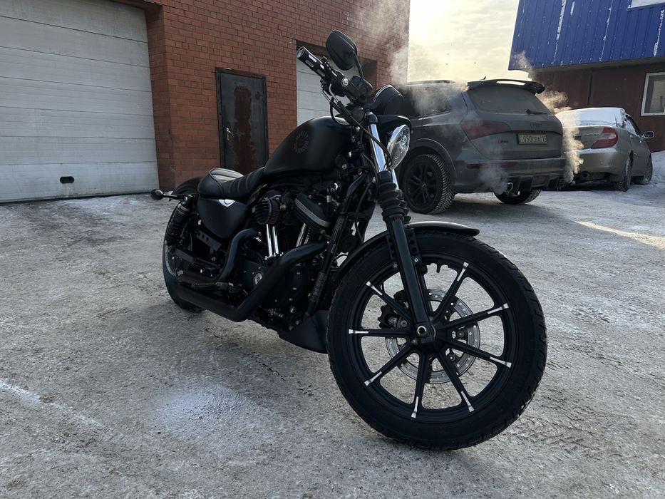 Продам Harley davidson xl883 iron