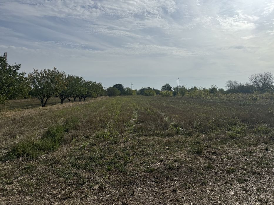 Vand teren intravilan 25 km de Buc/ Gruiu, Calarasi 2292 mp