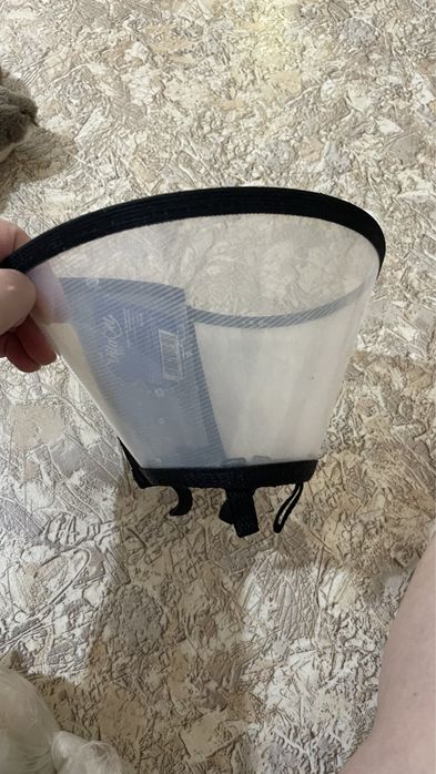 Продам все для кошек