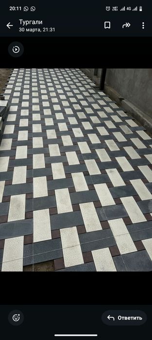 Уклатка бручатка