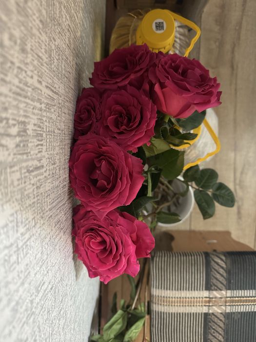 Свежие Красные Розы