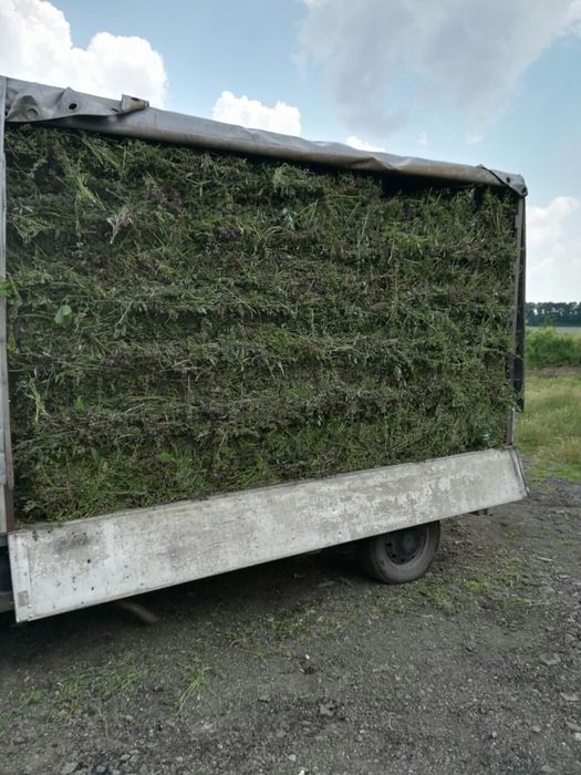 Транспортни услуги, Хамалски услуги, Къртене и Извозване