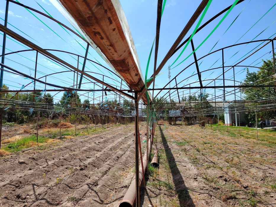 Teplitsa sotiladi 5 sotix