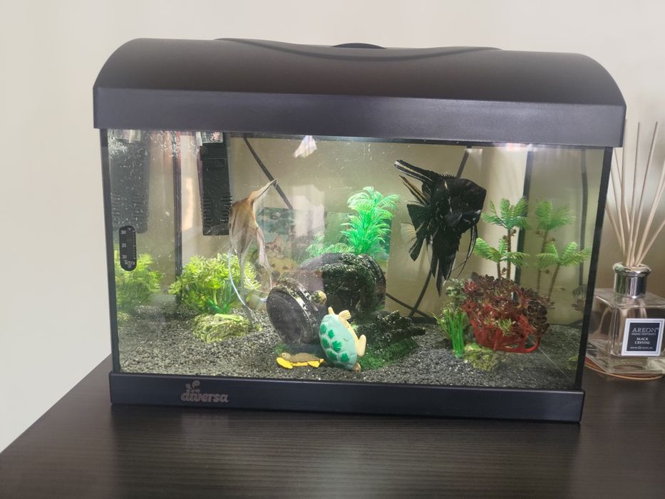 Acvariu Diversa 25 l