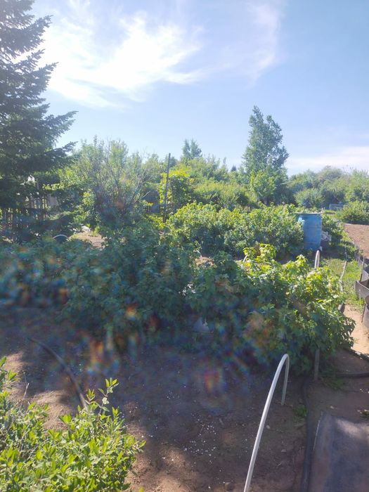 Дача правый бериг