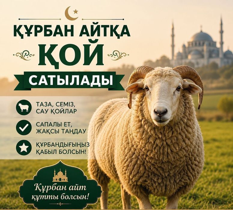 Кой сатамын Астана Арзан бага Жаксы, семiз койлар