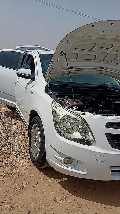 Kobilt 2013 denovni moshini