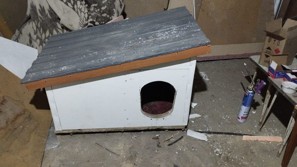 Будка для собаки